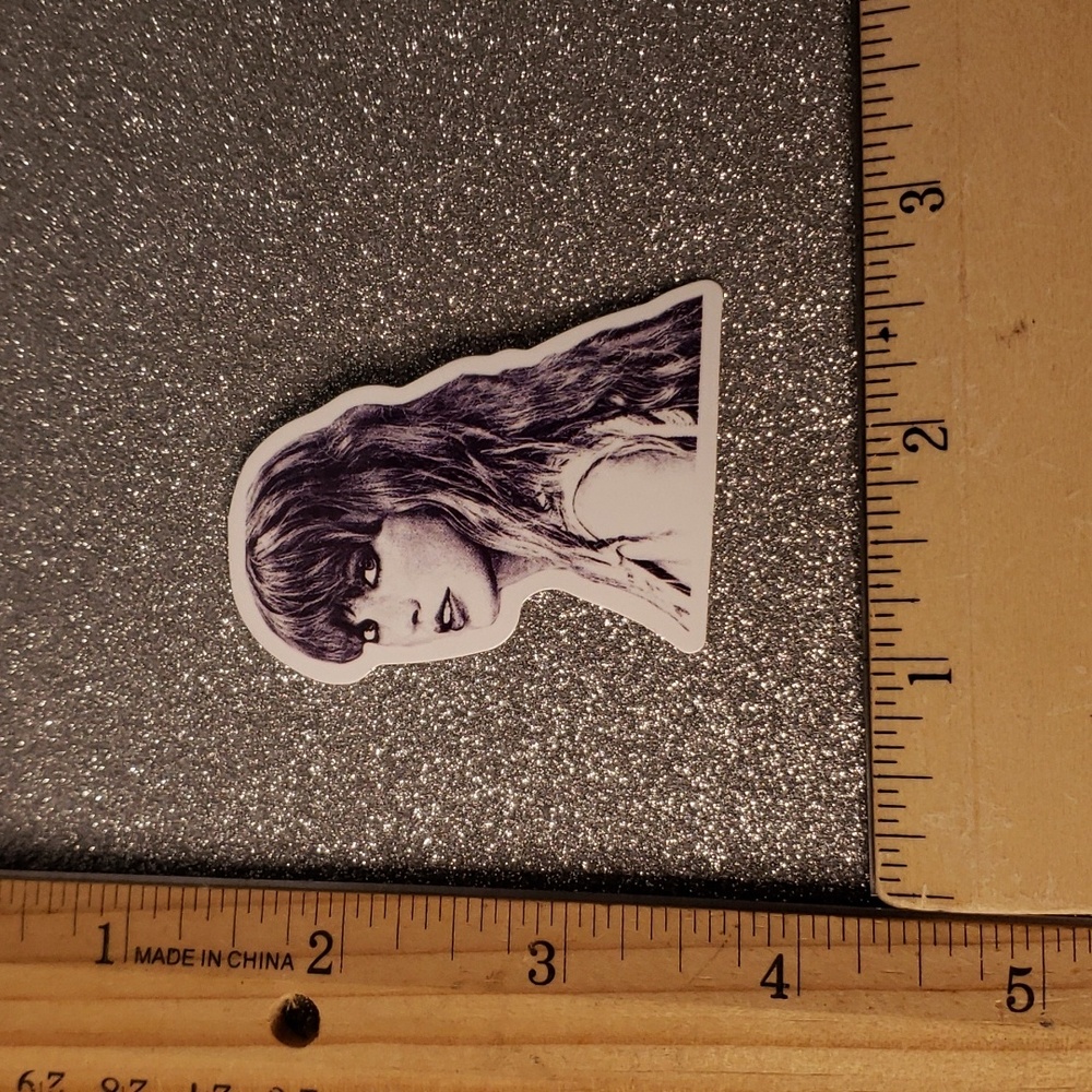 10/$10 Taylor Swift REPUTATION Waterproof Sticker - Picture 2 of 7